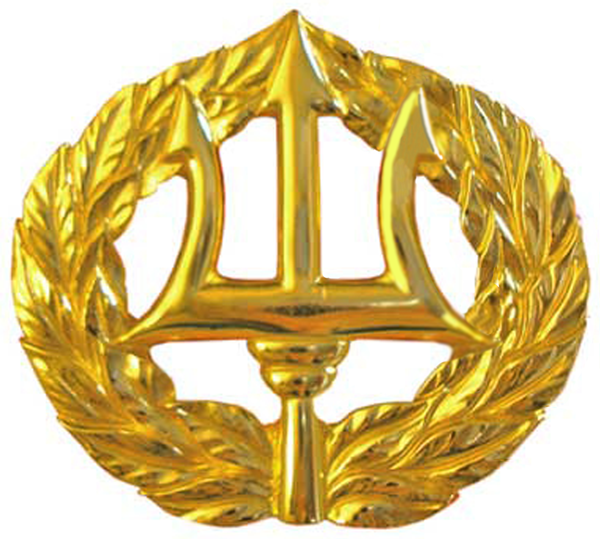 Command Officer Pin