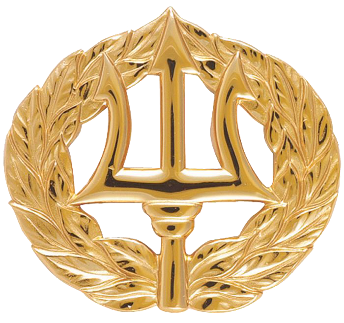 Command Ashore Pin